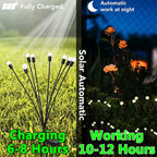 Solar Garden Lights